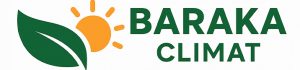 Logobaraka-website